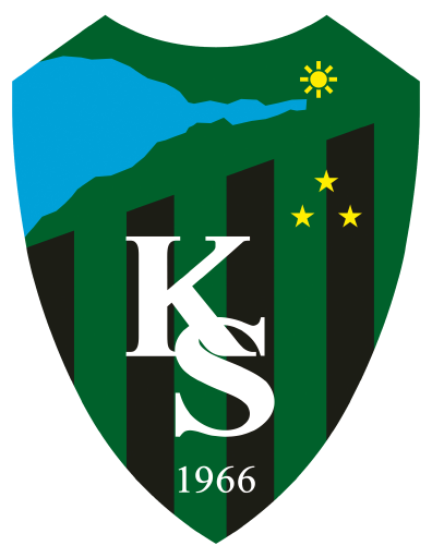 Wappen von Kocaelispor